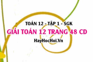 Giải Toán 12 trang 48 tập 1 Cánh Diều